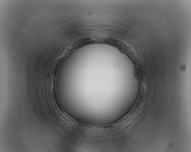 X0000091471012200708161123