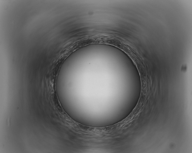 X0000091471013200708161123