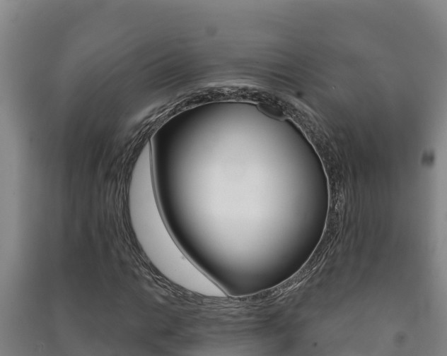 X0000091471014200708161123