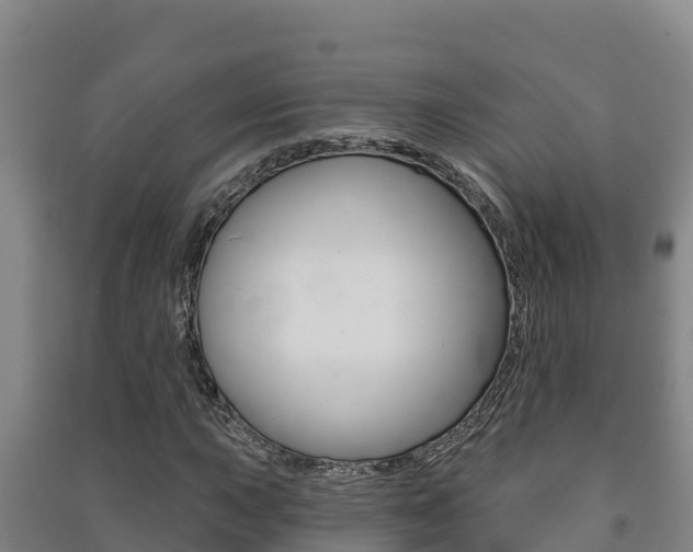 X0000091471015200708161123