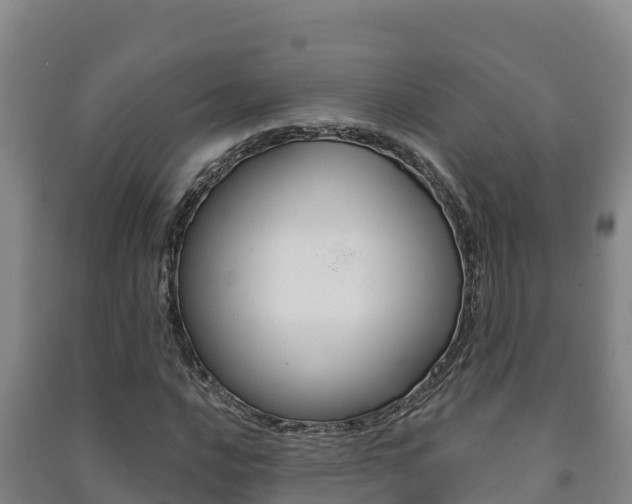 X0000091471016200708161123
