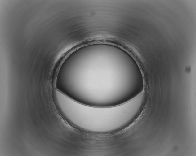 X0000091471018200708161124