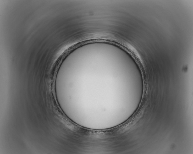 X0000091471019200708161124