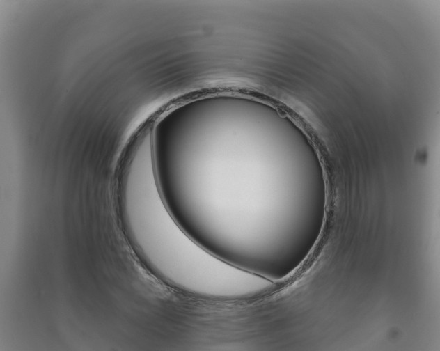 X0000091471022200708161124