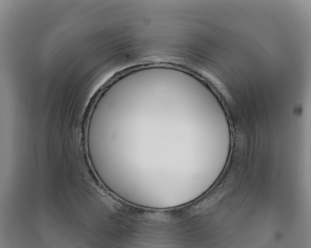X0000091471023200708161124