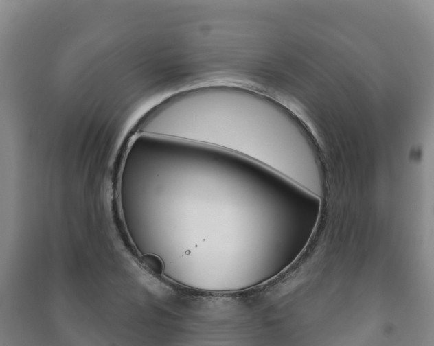 X0000091471024200708161124
