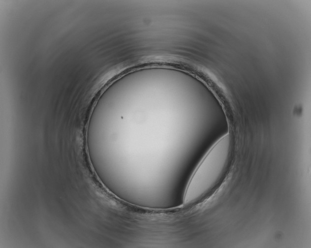 X0000091471025200708161124