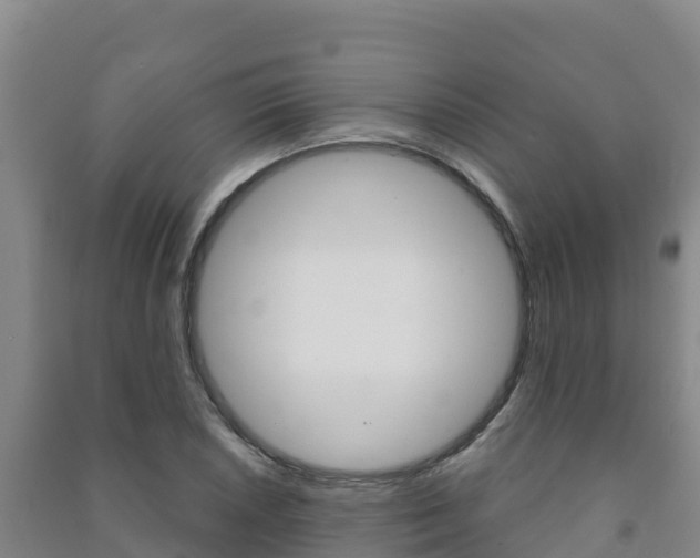 X0000091471026200708161124