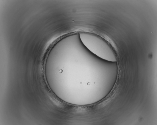 X0000091471027200708161124
