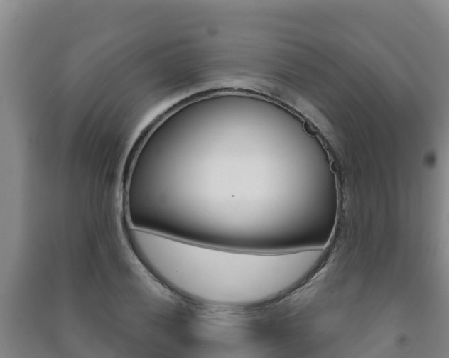 X0000091471028200708161124
