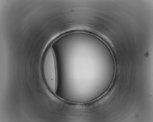 X0000091471029200708161124