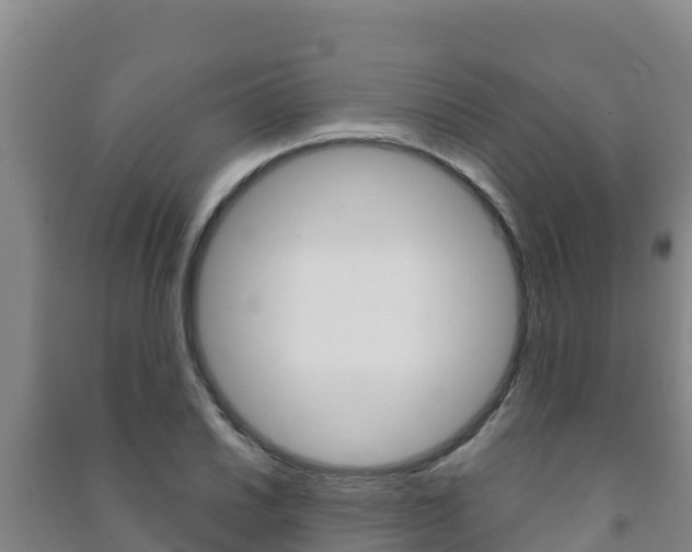 X0000091471030200708161124