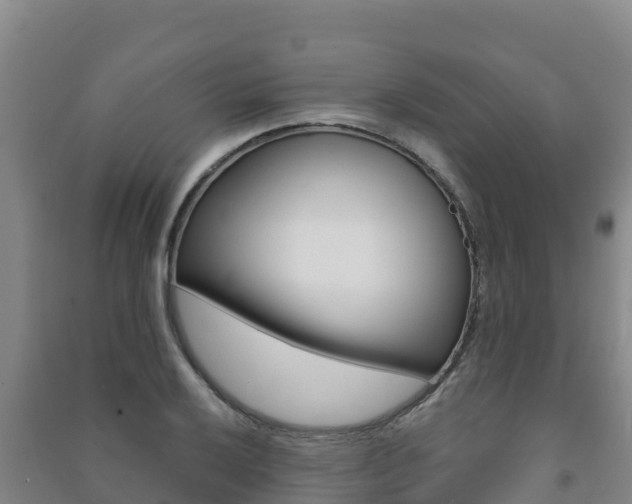 X0000091471032200708161124