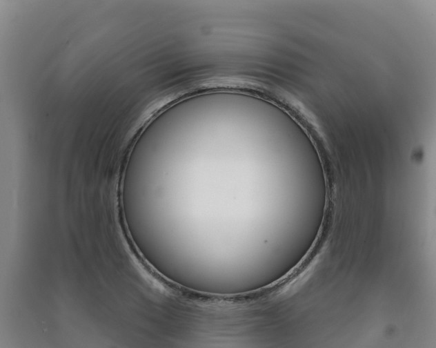 X0000091471033200708161124