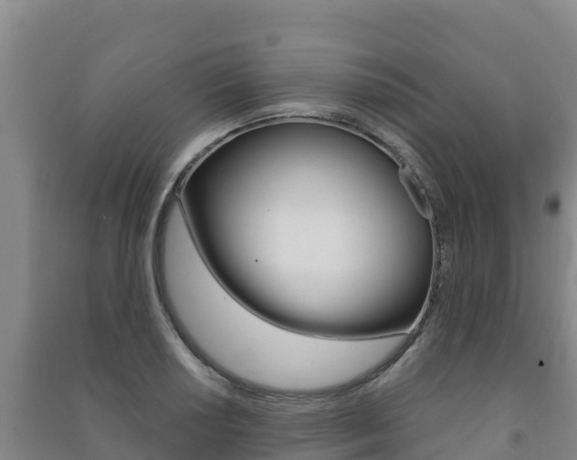 X0000091471034200708161124