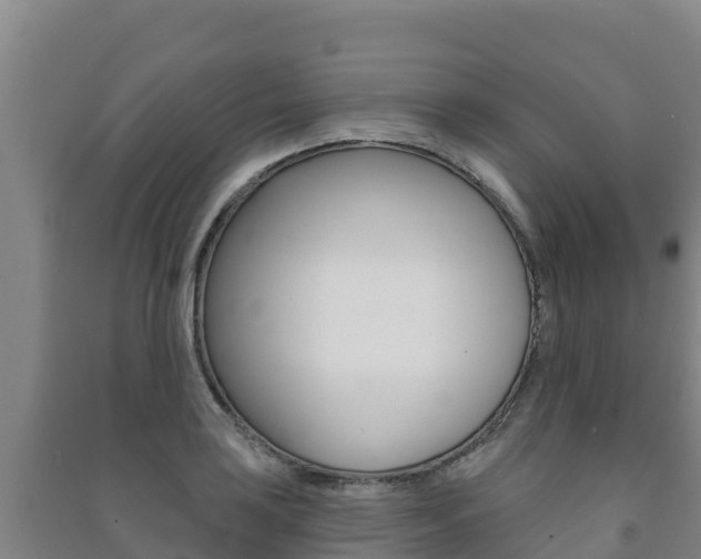 X0000091471035200708161124