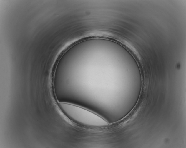 X0000091471037200708161124