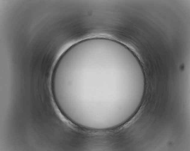 X0000091471038200708161124