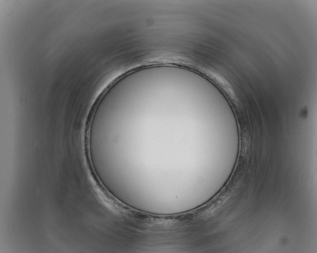 X0000091471039200708161124