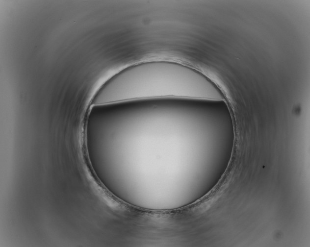 X0000091471040200708161124