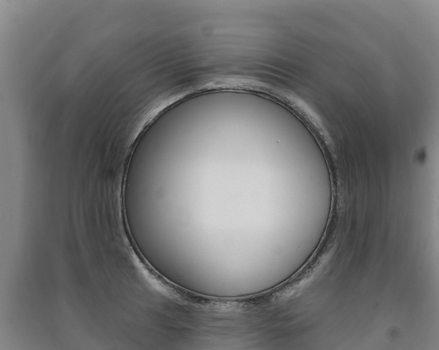 X0000091471041200708161124