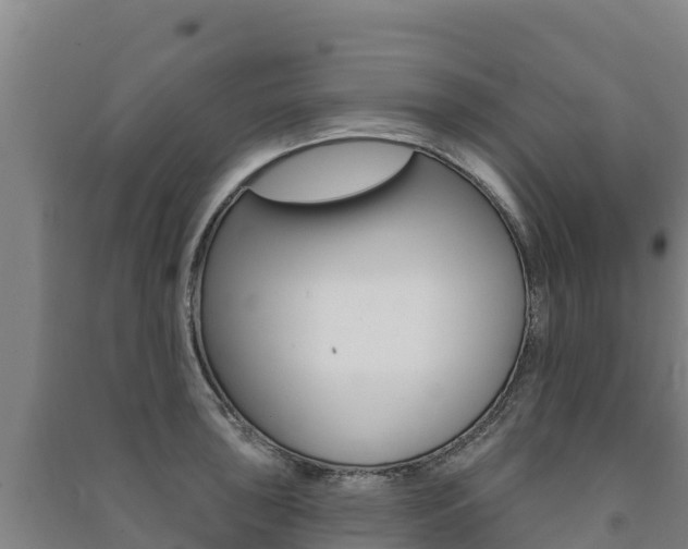 X0000091471043200708161124