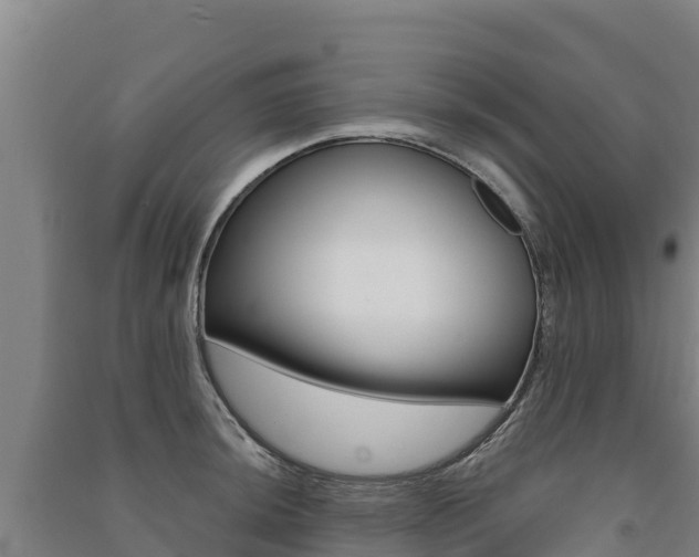 X0000091471044200708161124