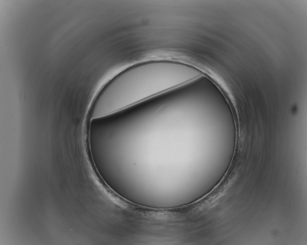 X0000091471045200708161124