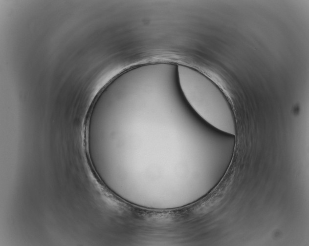 X0000091471047200708161124