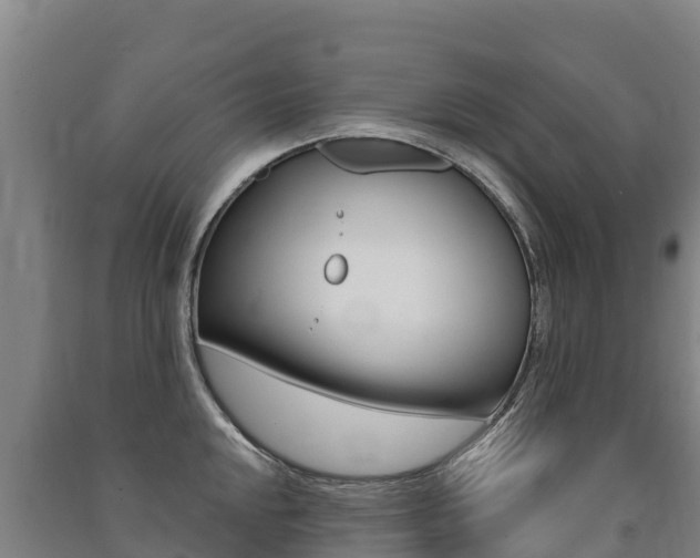 X0000091471048200708161124