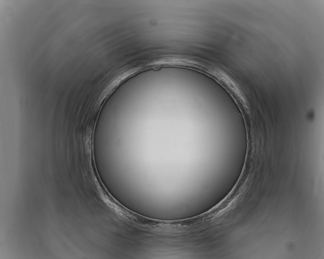 X0000091471049200708161124