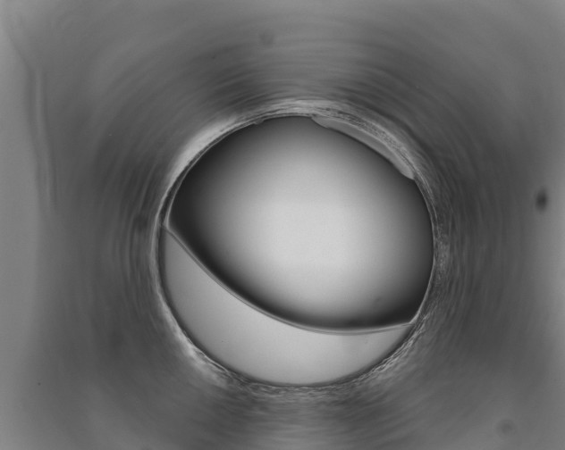 X0000091471050200708161124