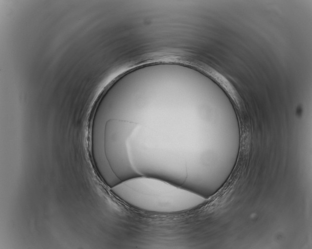 X0000091471051200708161124