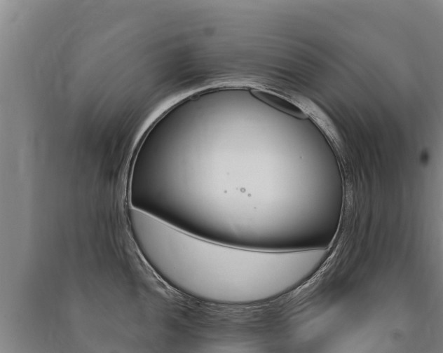 X0000091471052200708161124