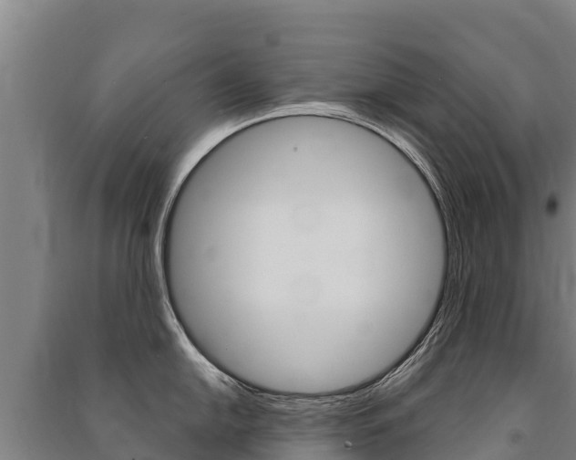 X0000091471054200708161124