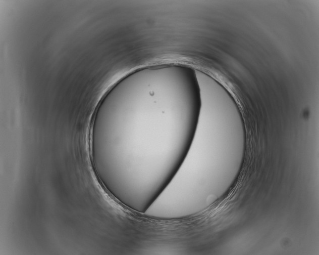 X0000091471055200708161124