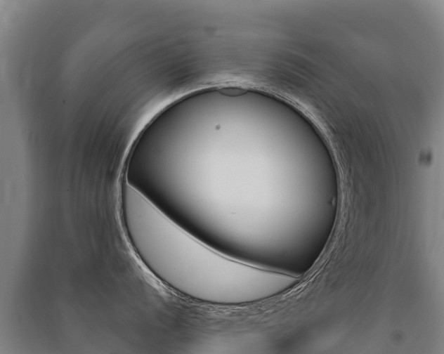 X0000091471056200708161124