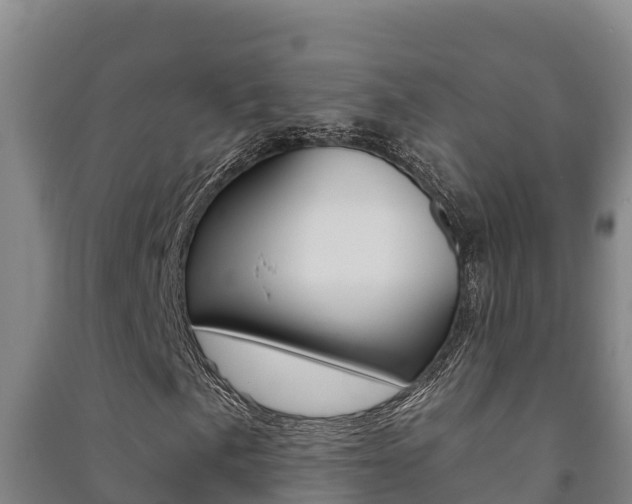 X0000091471057200708161123