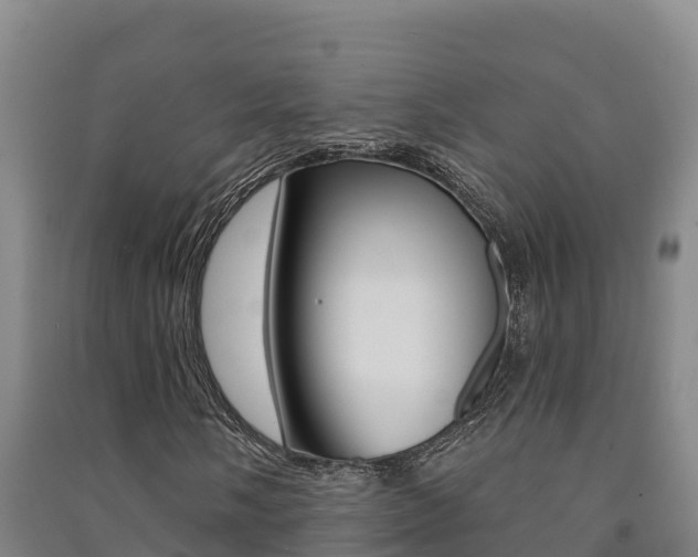 X0000091471058200708161123