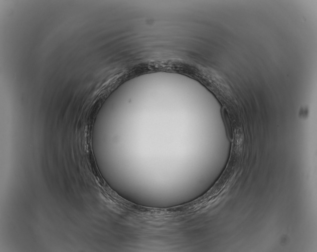X0000091471060200708161123