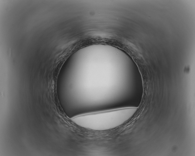 X0000091471061200708161123