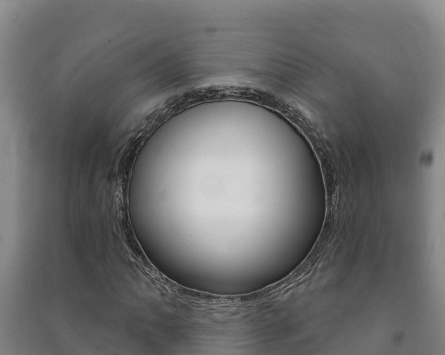 X0000091471062200708161123