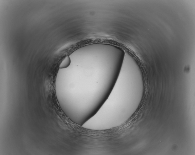 X0000091471063200708161123