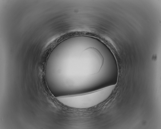X0000091471064200708161123