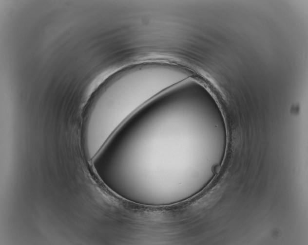 X0000091471066200708161123