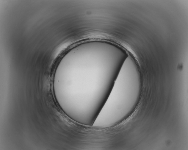 X0000091471067200708161123