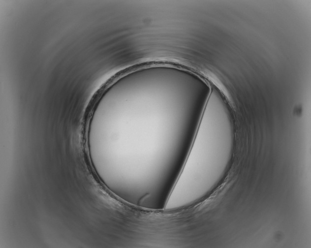 X0000091471068200708161123