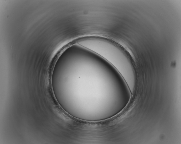 X0000091471069200708161123