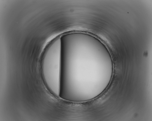 X0000091471070200708161123