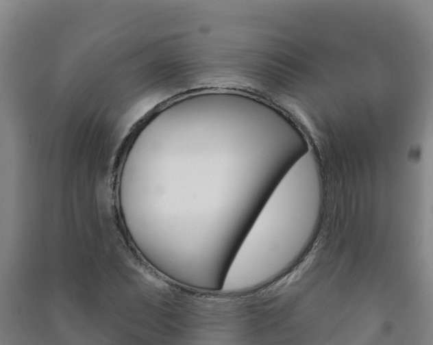 X0000091471071200708161123